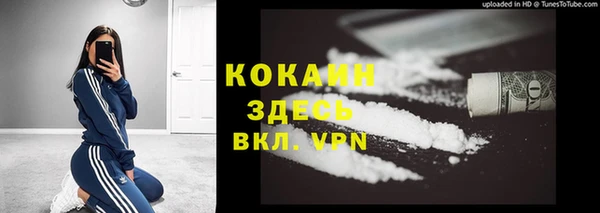 молекула духа Вязьма