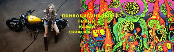молекула духа Вязьма