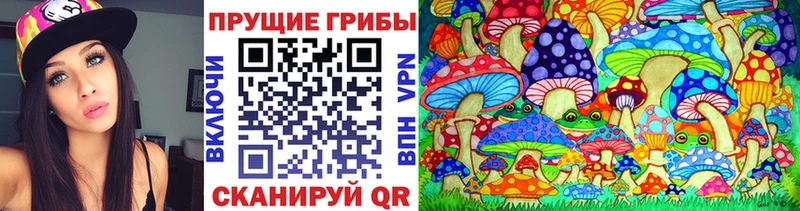 Галлюциногенные грибы Cubensis  Купить закладки  Ковылкино 